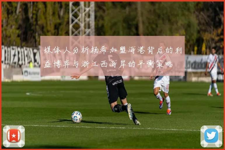 媒体人分析杨希加盟海港背后的利益博弈与浙江西海岸的平衡策略